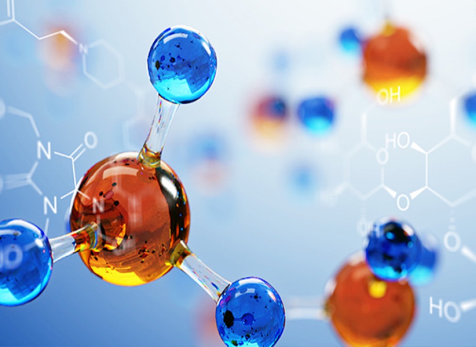 Pharmaceutical Intermediates